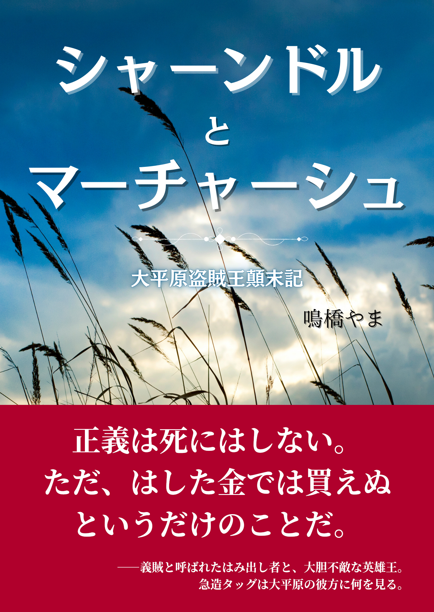 2025年制作の個人誌「シャーンドルとマーチャーシュ　大平原盗賊王顛末記」の書影。